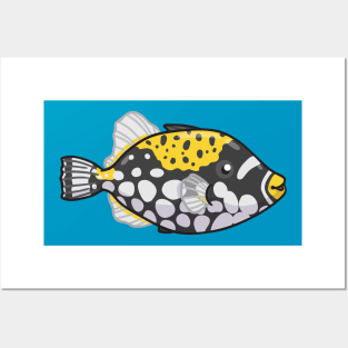 Clown Triggerfish Posters and Art